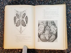 Medicine And The Allied Sciences, Samuel Fomon, Volume 1, 1919, Hardcover