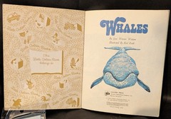 Little Golden Book Whales by Jane Werner Watson Ill. by Rod Ruth 2nd Print 1979