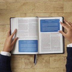 Peace of God Bible: Discover and Experience God’s Shalom Throughout the Bible