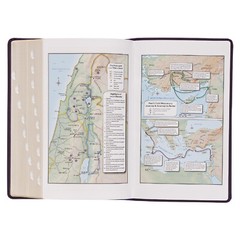 KJV Bible Giant Print 14 Point Purple Thumb Index BRAND NEW in Shrink Wrap!!!