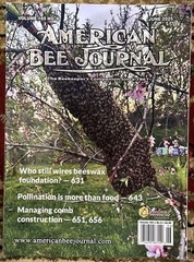 AMERICAN BEE JOURNAL MAGAZINE Vol 165 No 6 June 2025