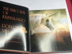 The Unicorn of Kilimanjaro – Hardcover, by Robert Vavra – 1st Edition 1988