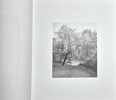 Donavon Smallwood · Languor (Trespasser · 2021 · 1st Edition) Black Portraiture