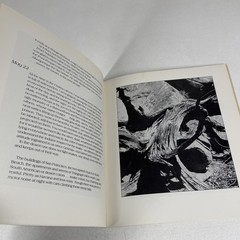 Woods Shore Desert A Notebook May 1968 Merton Thomas Paperback