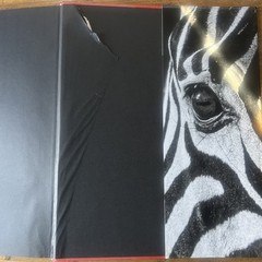 THE FAMILY ALBUM OF WILD AFRICA By Laurent Baheux – Hardcover teNeues DAMAGED