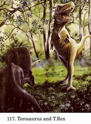 Dinosaur [With CDROM] by Sovak, Jan