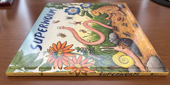 Superworm by Julia Donaldson Hardcover Book (First American Edition, 2014) New