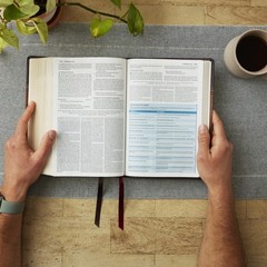 NKJV Study Bible, Hardcover, Burgundy, Full-Color, Comfort Print: The…