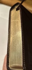 ESV Personal Reference Holy Bible Brown Tan Tru-Tone Single Column Side Ref.