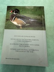 A Field Guide To The Birds Of North America Paperback 255 Pages Copyright 2007