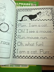 Collection of 3 1986 School Zone Publishing Company Workbooks Ages 3-8