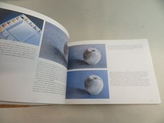 Luminous Brush: Painting with Egg Tempera by Altoon Sultan (1999, PB)