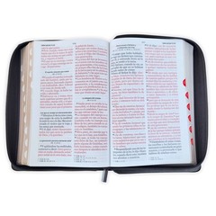 Biblia con Cierre Letra Gigante Manual 14 puntos RV1960 imit piel negro con i…