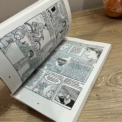 Fun Home by Alison Bechdel Graphic Memoir LGBTQ 2006 Paperback Broadway Edition