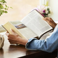 NKJV Study Bible, Hardcover, Burgundy, Full-Color, Comfort Print: The…