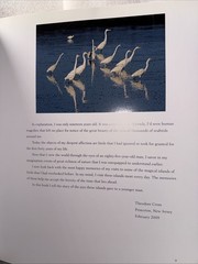 Waterbirds by Theodore Cross