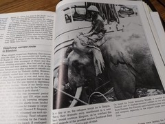 Vietnam War books – Lot of 2 – THE VIETNAM EXPERIENCE – Vintage Books