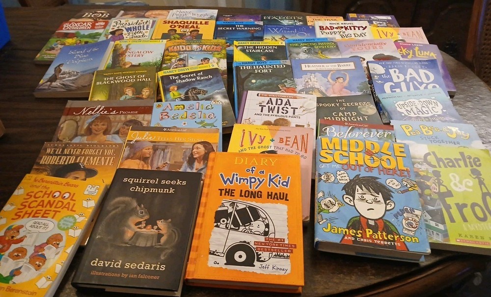 30 Chapter Books For Young Readers Mixed/Random Lot