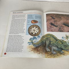 Vintage 1993 DINOSAURS Dougal Dixon Lot of 5 Highlights Books for Children
