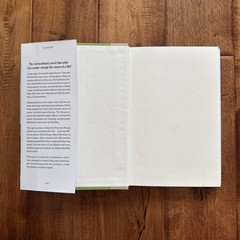 The Names A Novel – VERY GOOD
