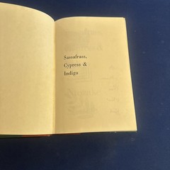 Sassafrass, Cypress and Indigo A Novel by Ntozake Shange First Edition Hardcove