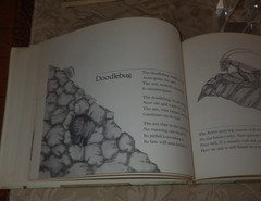 Bugs : Poems By Mary Ann Hoberman 1976 HC 1st ED in Dust Jacket RARE SIGNED!