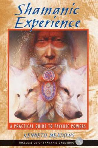 Shamanic Experience: A Practical Guide to Psychic Powers – Paperback – GOOD