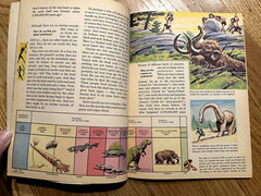 The How And Why Wonder Book of Primitive Man. Donald Barr Vintage Paperback
