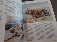 A Dog’s Life-Special Edition Magazine by Paw Print-How They Think, Feel & Thrive