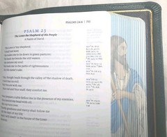 Humble Lamb NKJV Shepherd Bible Forest Green Goatskin Full-Grain Ribbons Gilded