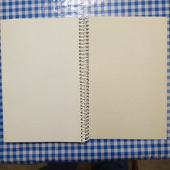Old South Comfort Food Vintage Recipes From the 1930s-1940s Gail Cauble Gurley