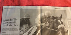 LA TIMES SPORTS SECTION DECEMBER 31 2023 WOMEN’S BASKETBALL UCLA ZENYATTA