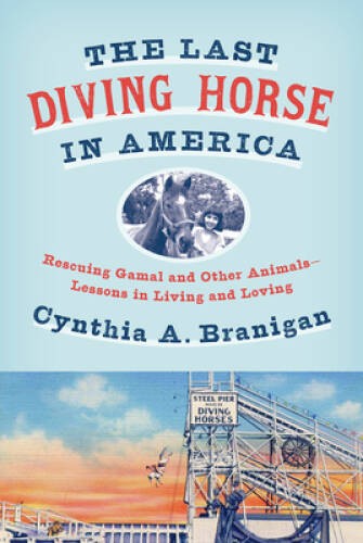 The Last Diving Horse in America: Rescuing Gamal and Other Animals–Lesso – GOOD