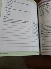 3rd Gr. i-Ready Magnetic Reading , Student Workbook, Grade 3