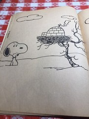 Merry Christmas Snoopy Coloring Book 1979 Used And Some Coloring 11 Inches X 8