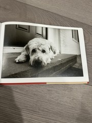 Dogma: A Way of LifeKim Levin, John O’Neill & Erica SalmonHardcover