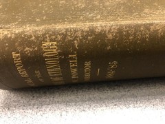 Smithsonian 6th Annual Ethnology 1884-1885-Mayan Codices, NE Eskimo Tribes & Map