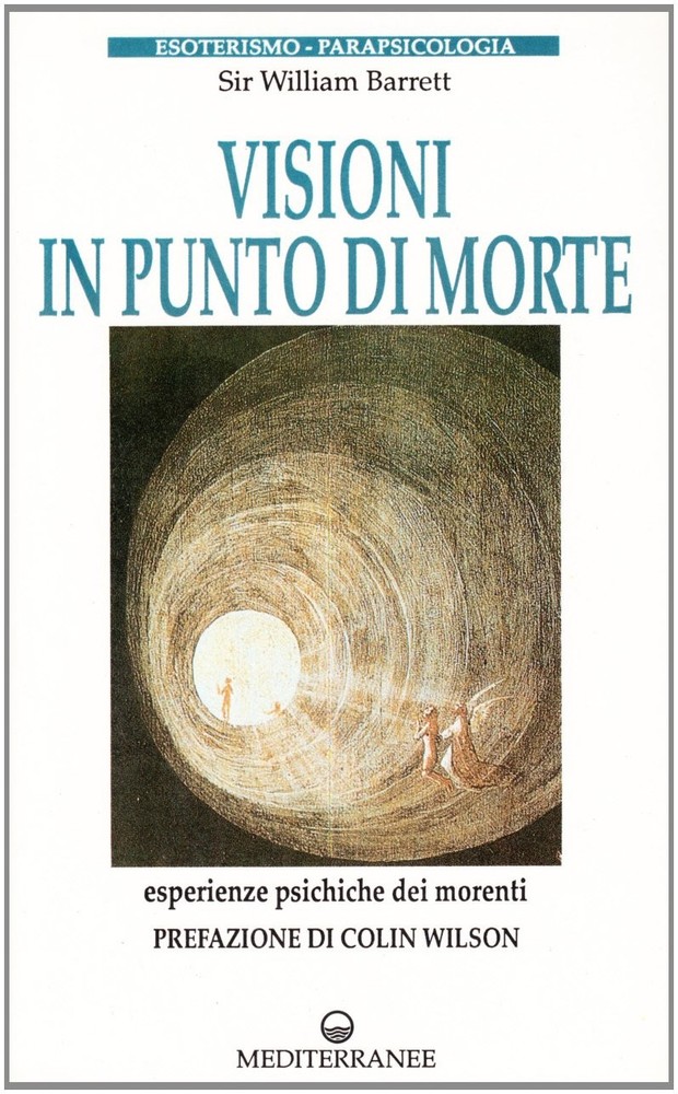 M. Grillini E. Hess William Barr Visioni in punto di mo (Paperback) (UK IMPORT)