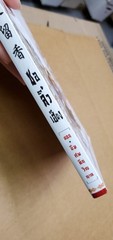 Thai Language #09; martial arts; book; see scans for author….title