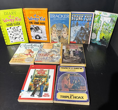 10 Youth Kids Chapter Books Lot Mixed Titles Homeschool Teacher Early Reader