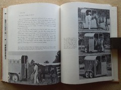 Saddle Up by Charles E. Ball