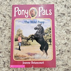 Lot of 3 PONY PALS Chapter Books by Jeanne Betancourt – Scholastic RL3 – HORSES
