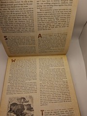 Safari: A Photicular Book