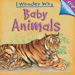 Flip The Flaps: Baby Animals – Hardcover By Wilson, Hannah – VERY GOOD
