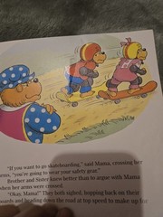 The Berenstain Bears 17 Book Lot Total Huge Lot Bundle