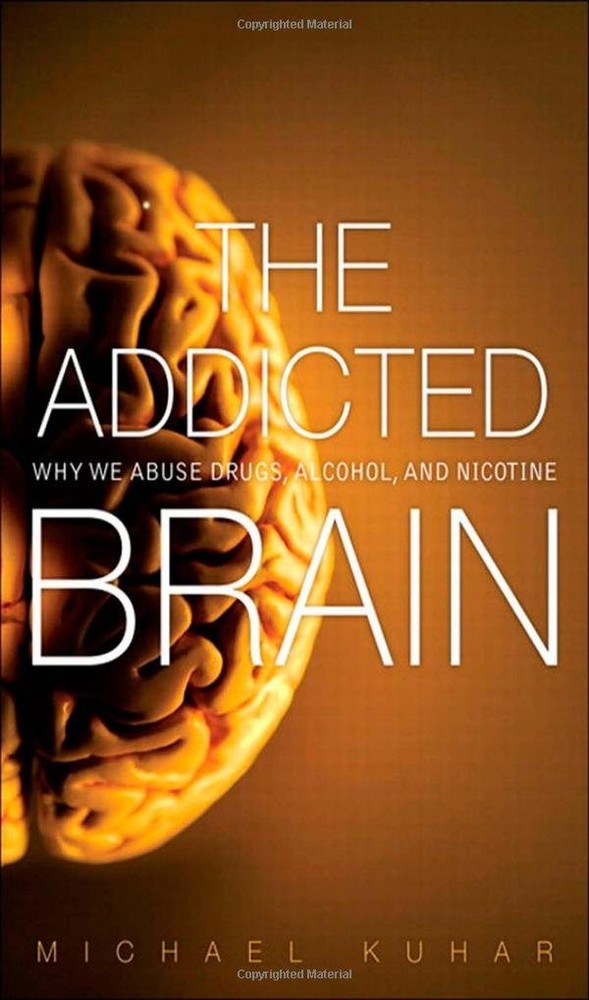 The Addicted Brain: Why We Abuse Drugs, Alcohol, and Nicotine (FT Press Scie…