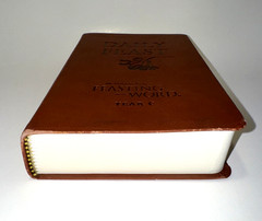 Daily Feast: Meditations from Feasting on the Word Year C, First Edition EUC
