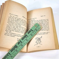 Vintage Daddy Long-Legs by Jean Webster 1980 PB Mystery Orphan Tempo Books