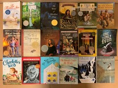 Lot of 15 Newbery Honor Award Winning Chapter Children Kid Books AR *RANDOM MIX