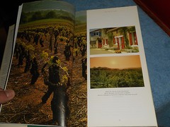 FRENCH VINEYARDS The Complete Guide and Companion by MICHAEL BUSSELLE HC/DJ 1998